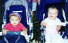 babies.jpg (53476 bytes)