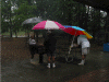 bbq.gif (161132 bytes)