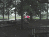 wheelrain.gif (158141 bytes)